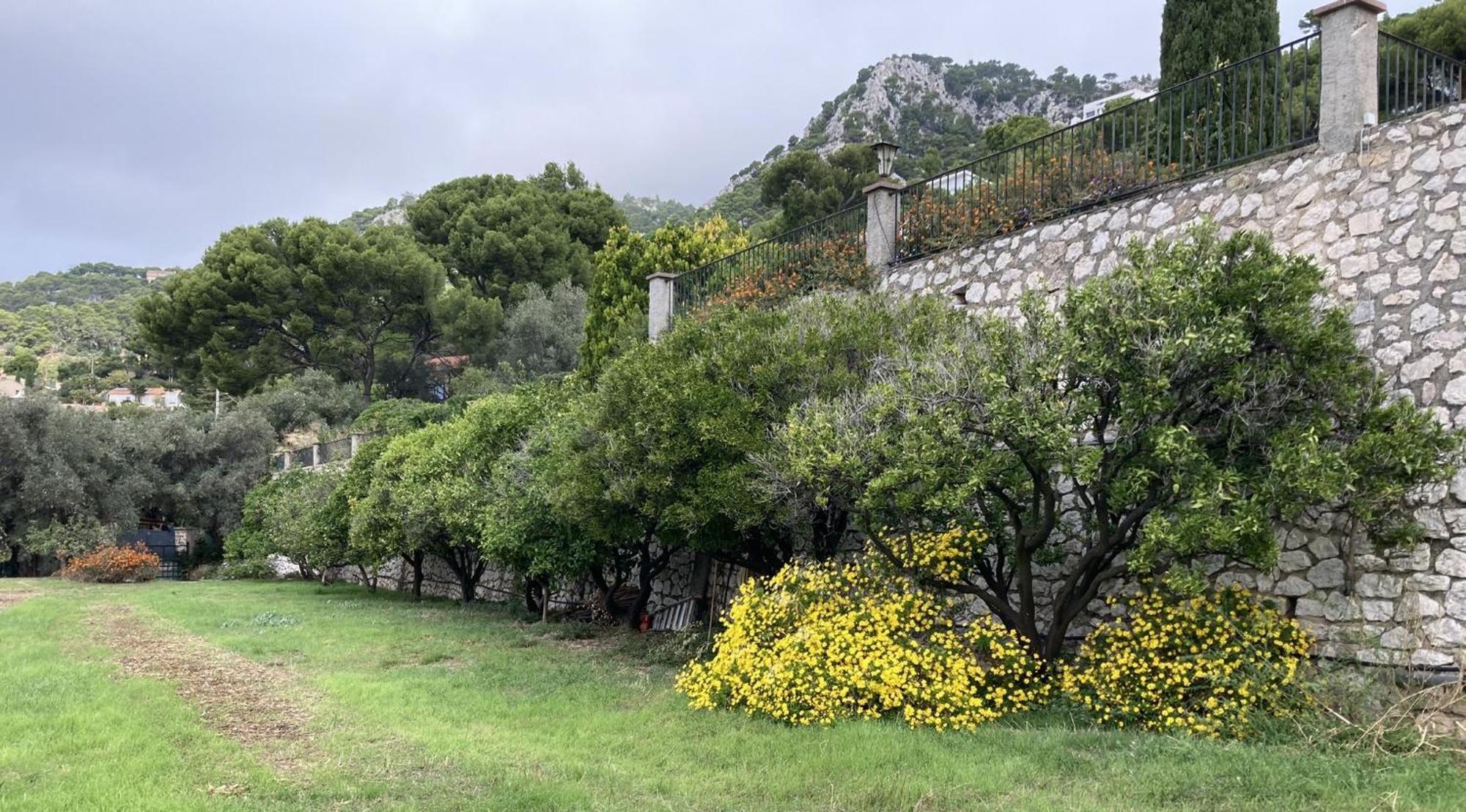 Mas Sainte Marie Daire Toulon Dış mekan fotoğraf